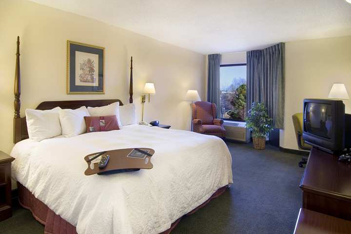 Hampton Inn & Suites Atlanta/Duluth/Gwinnett Kamer foto